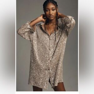 Anthropologie Silver Sequin Dress